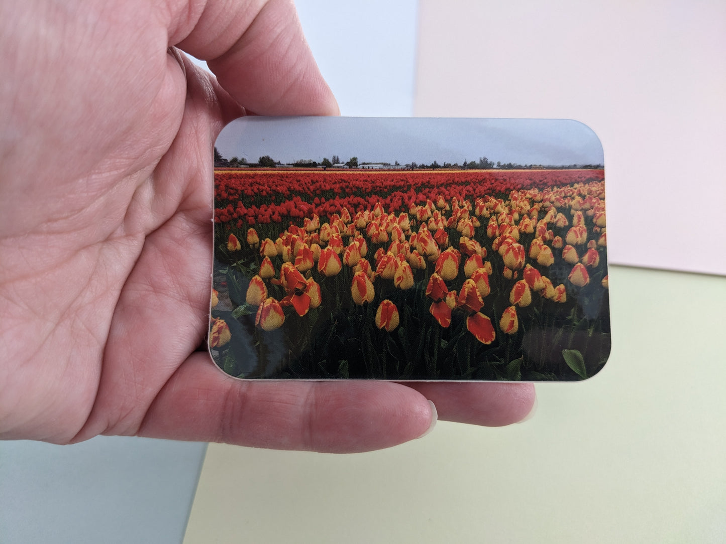 Red and Yellow Tulip Field Sticker