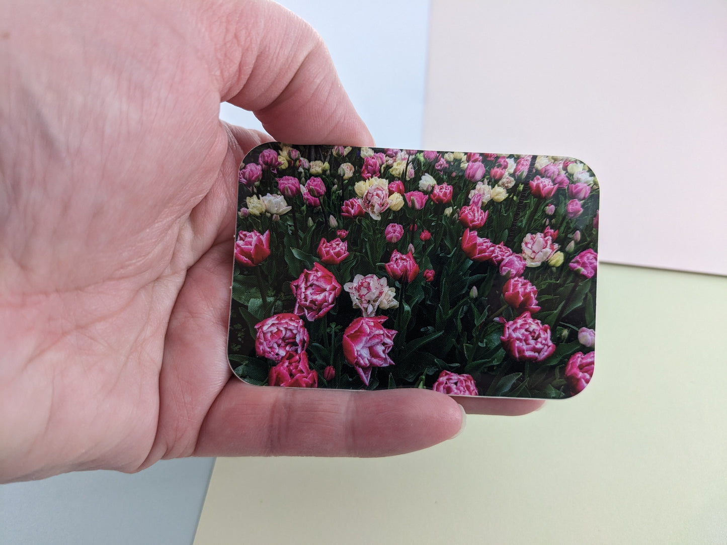 Pink and White Tulip Field Sticker