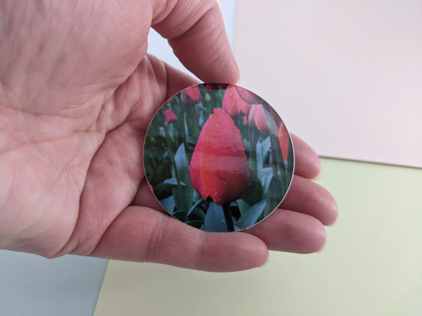 Dark Pink Tulip Sticker in 2 in. Round