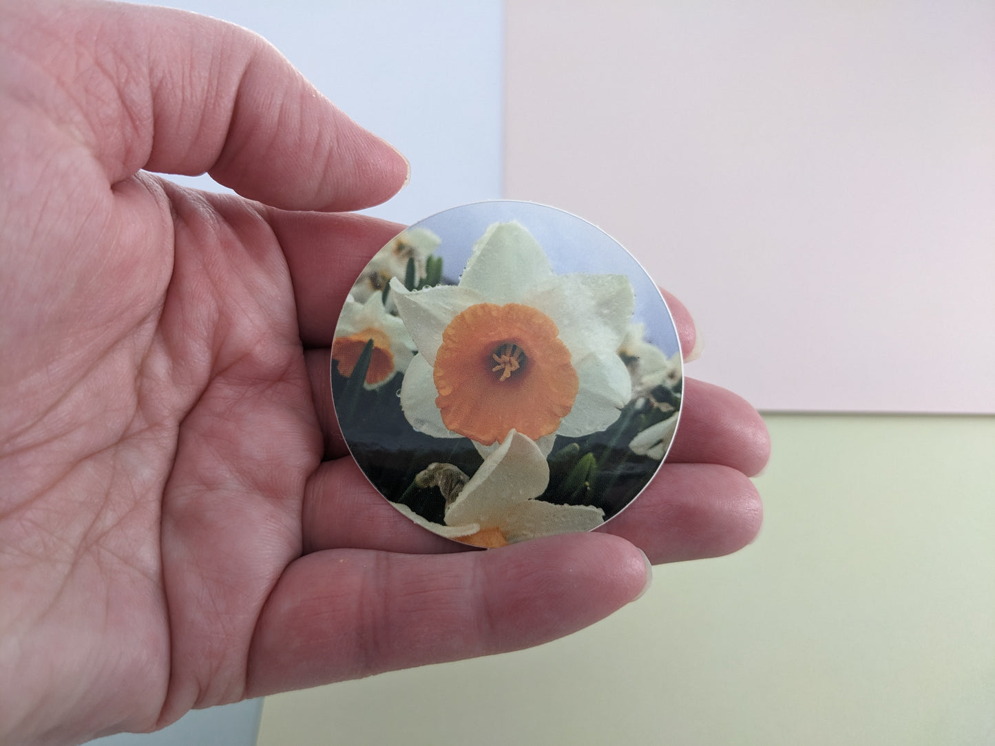 Egg Daffodil 2 in. Round Sticker
