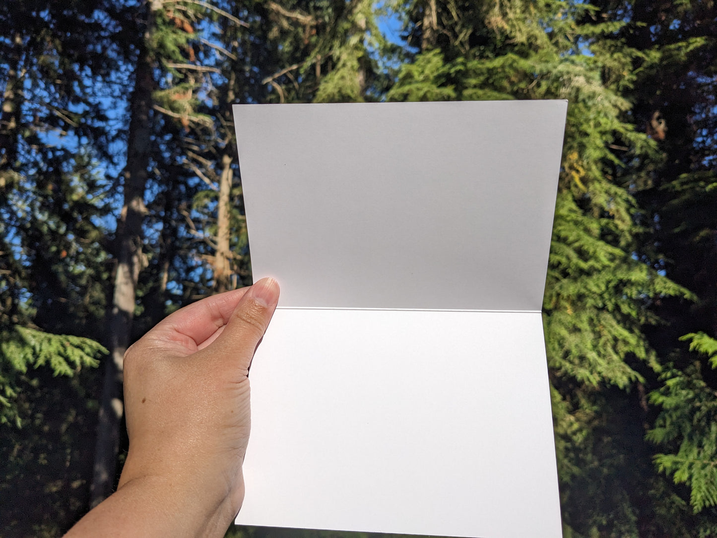 Midnight Rainbow Blank Greeting Cards - 3 Pack