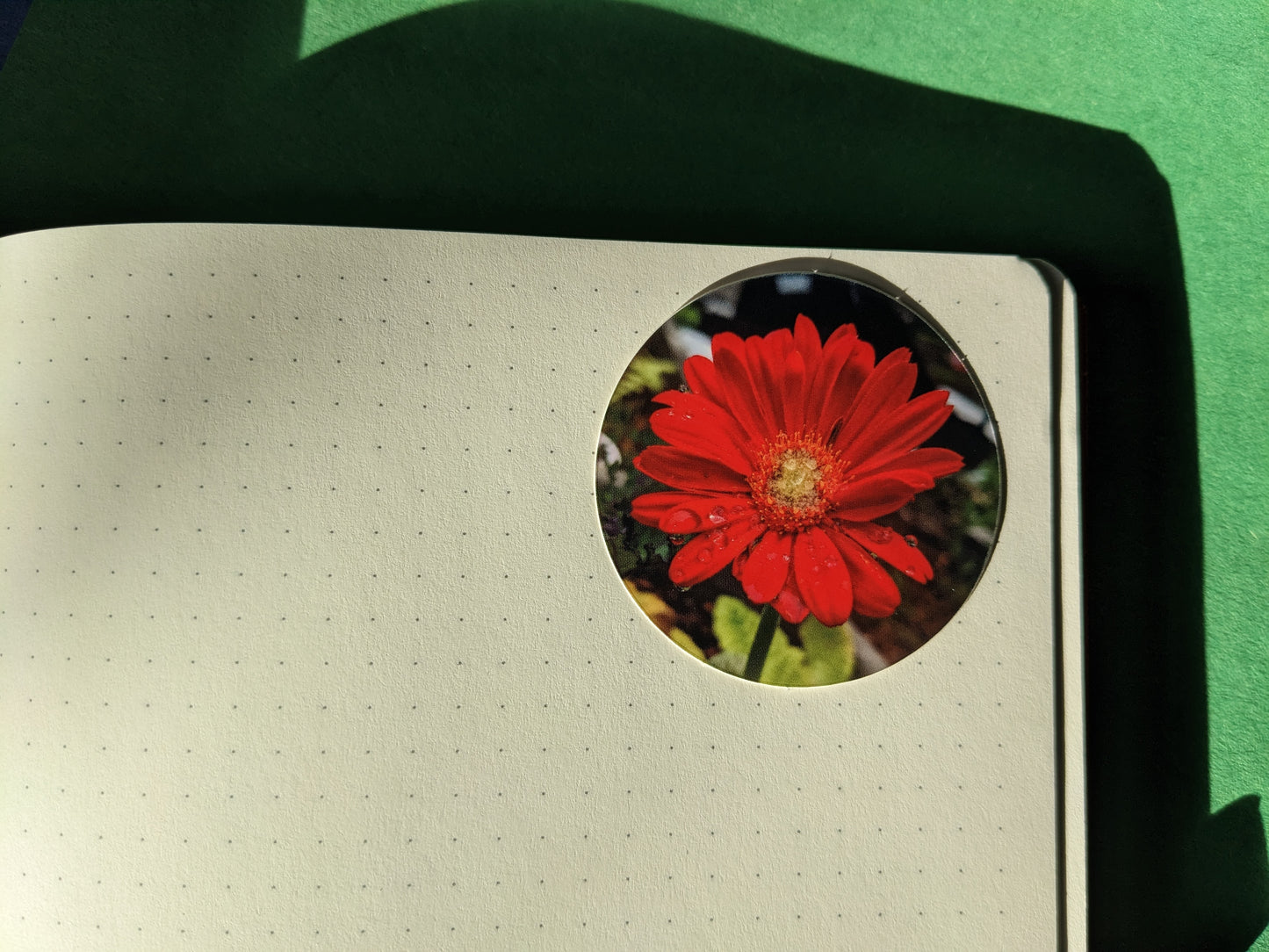 Red Gerbera Daisy 2" Round Sticker