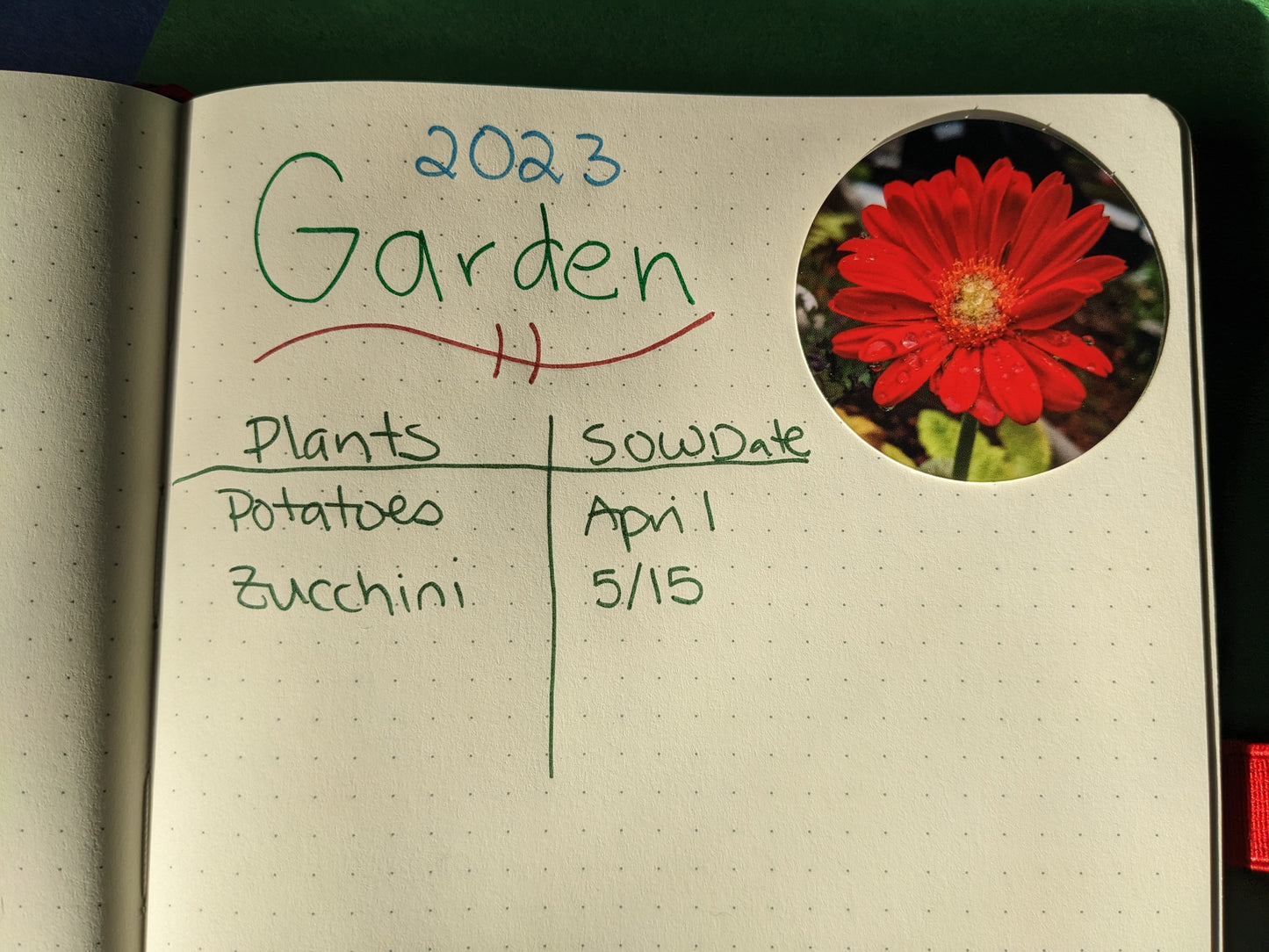 Red Gerbera Daisy 2" Round Sticker