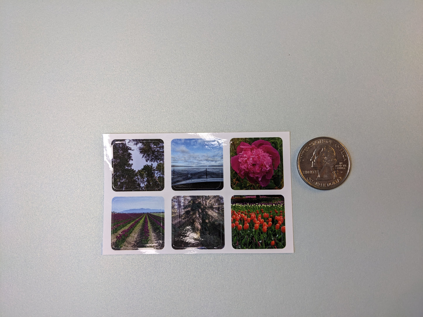 Nature Postcards Series 1 - 5 Pack Set