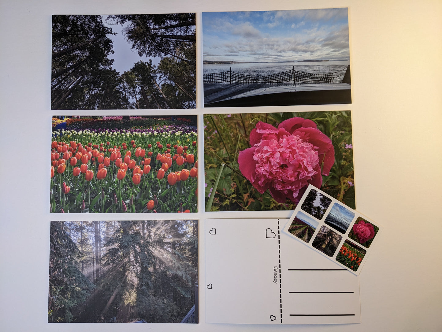 Sky Tree Ring Postcard - Individual