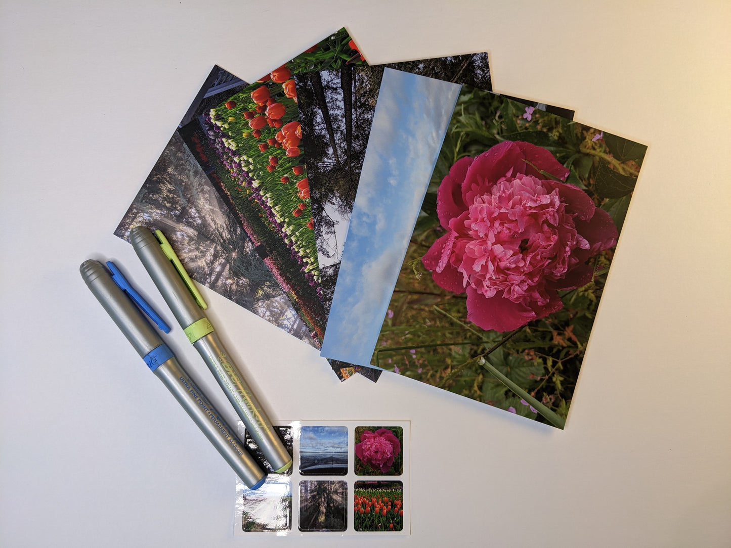 Nature Postcards Series 1 - 5 Pack Set