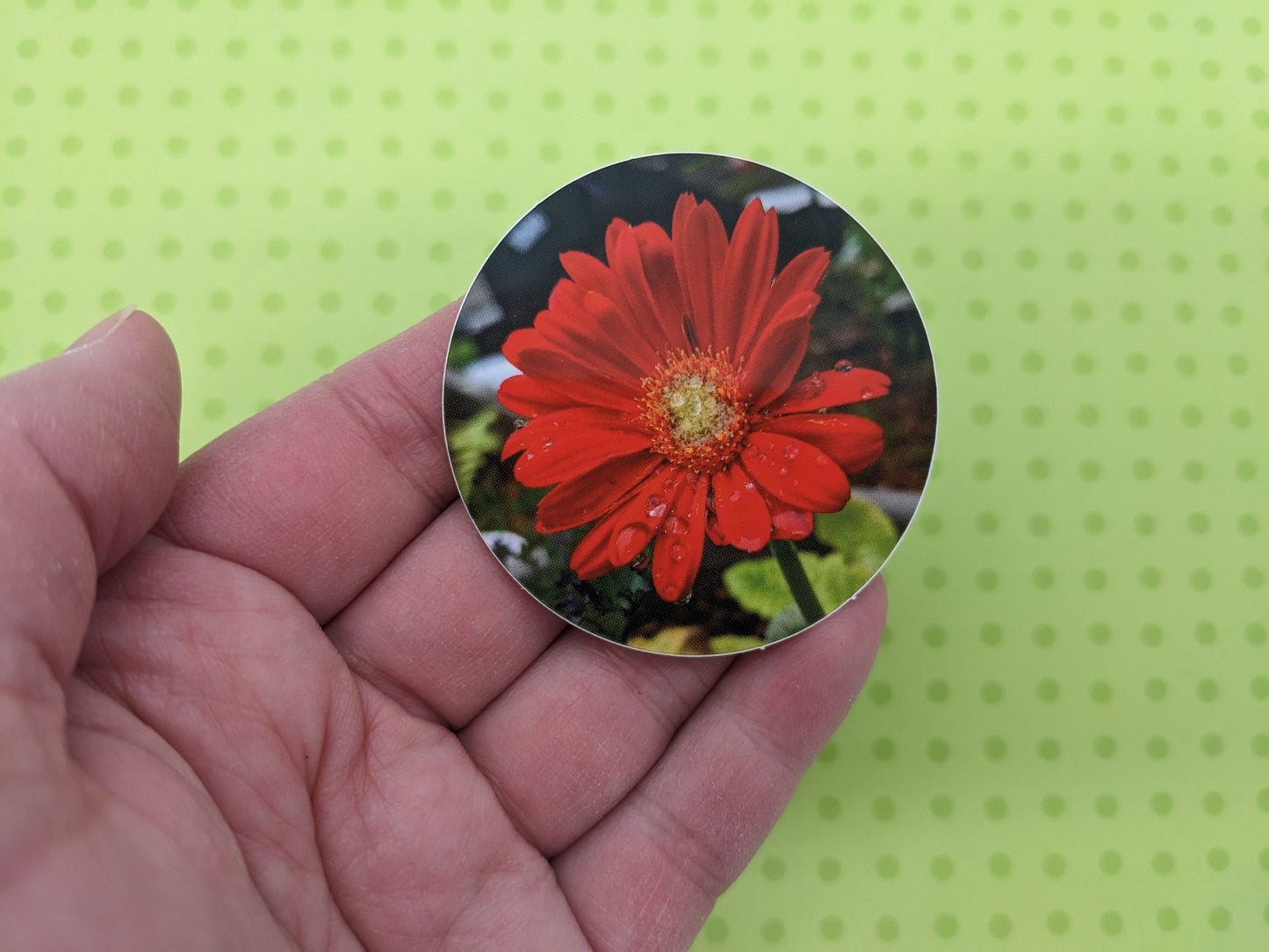 Red Gerbera Daisy 2" Round Sticker