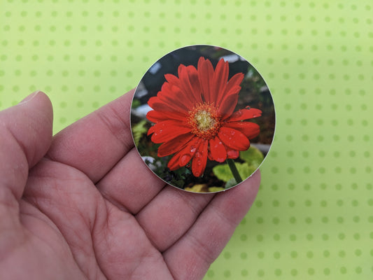 Red Gerbera Daisy 2" Round Sticker