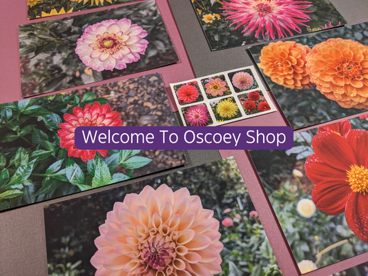 January 2024 Oscoey Shop Update