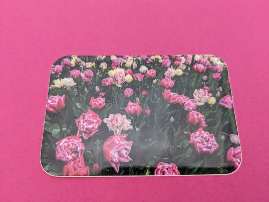 Pink and White Tulip Field Sticker