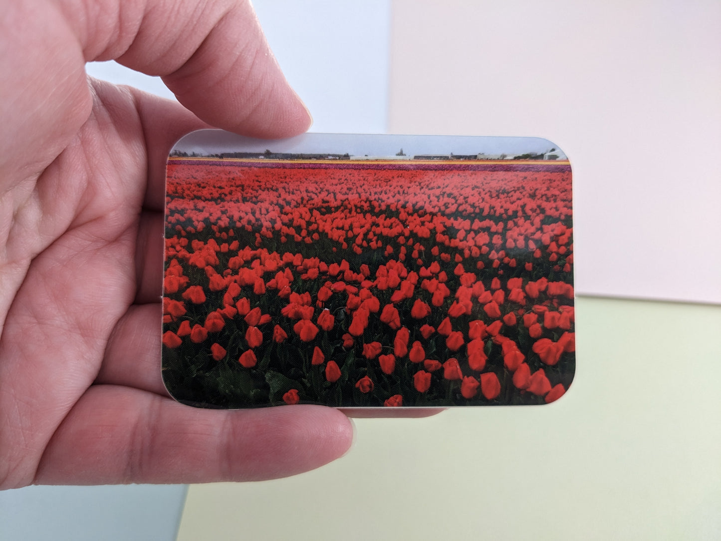 Red Tulip Field Sticker