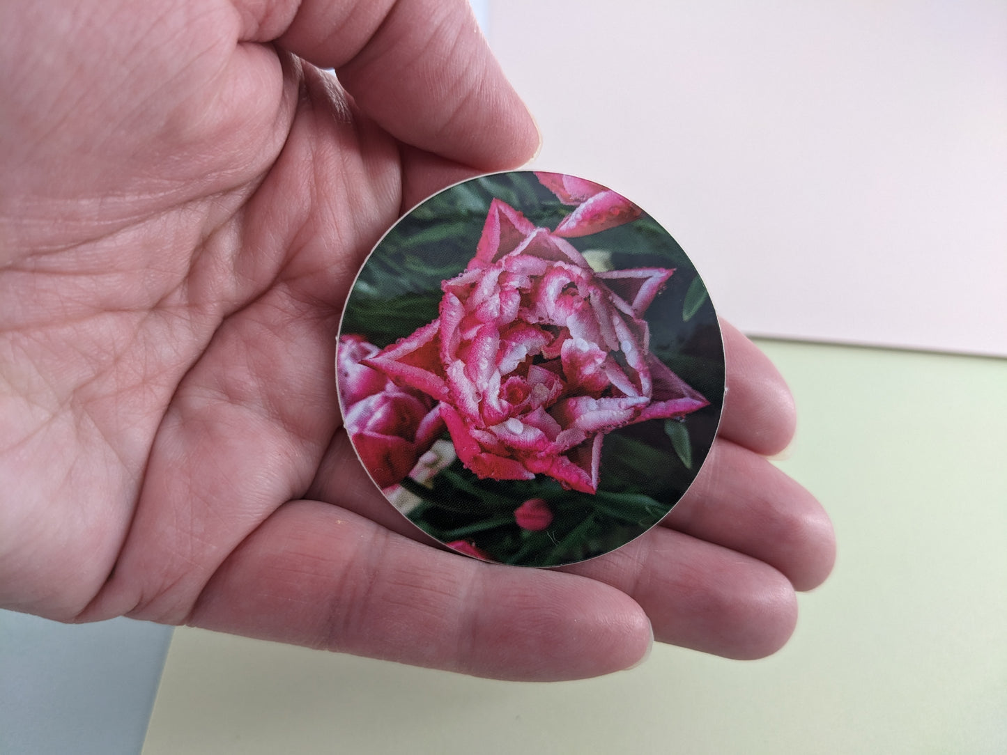 Pink and White Double Tulip 2 in. Sticker