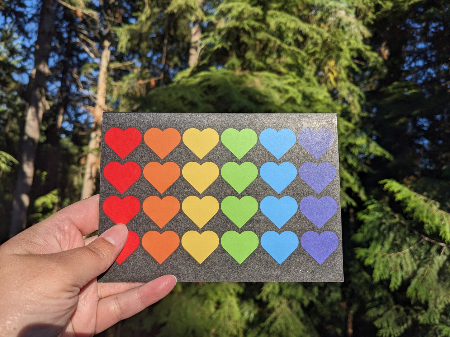 Midnight Rainbow Blank Greeting Cards - 3 Pack