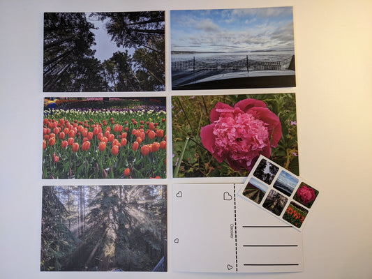 Nature Postcards Series 1 - 5 Pack Set