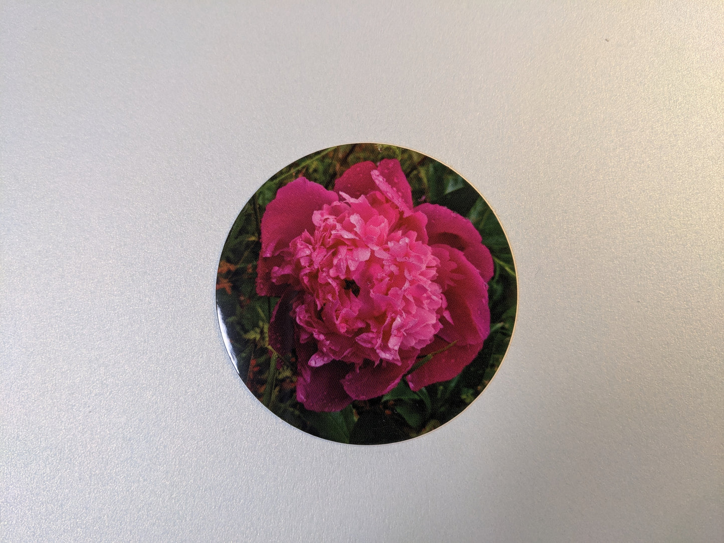 2" Round Pink Peony Sticker