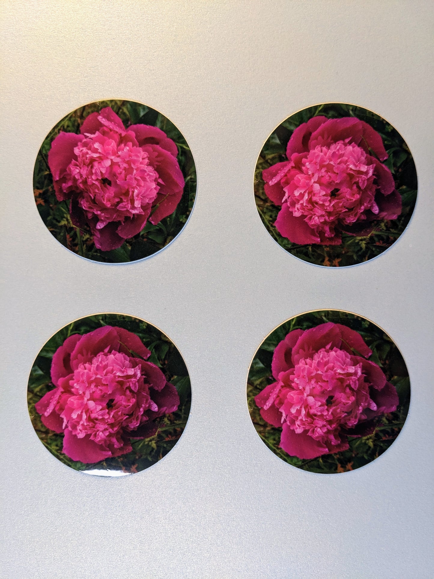 2" Round Pink Peony Sticker